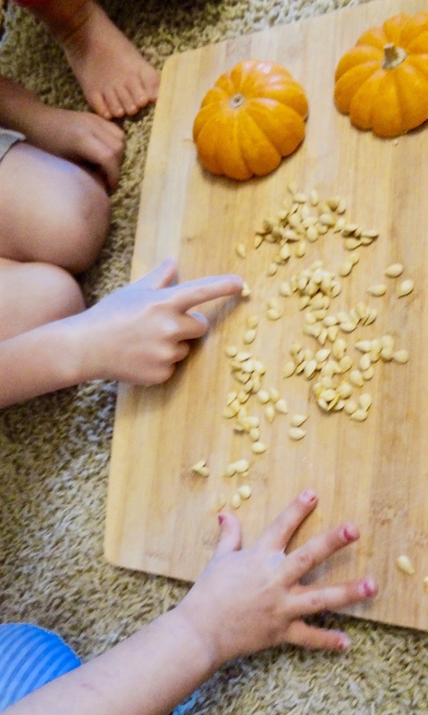 Pumpkins & Gourds: A Sensory Exploration | Tykes n Tots Preschool & Daycare